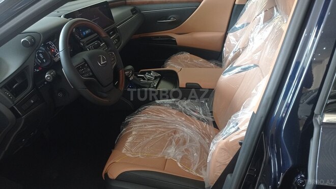 Lexus ES 300h-12