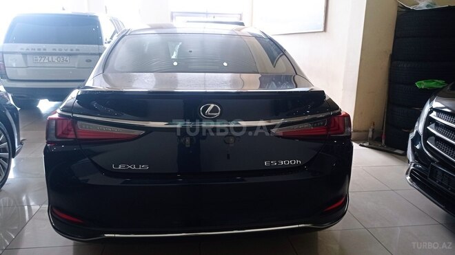 Lexus ES 300h-8