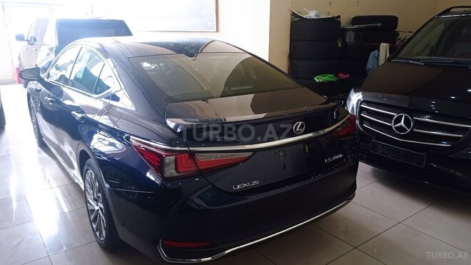 Lexus ES 300h-9