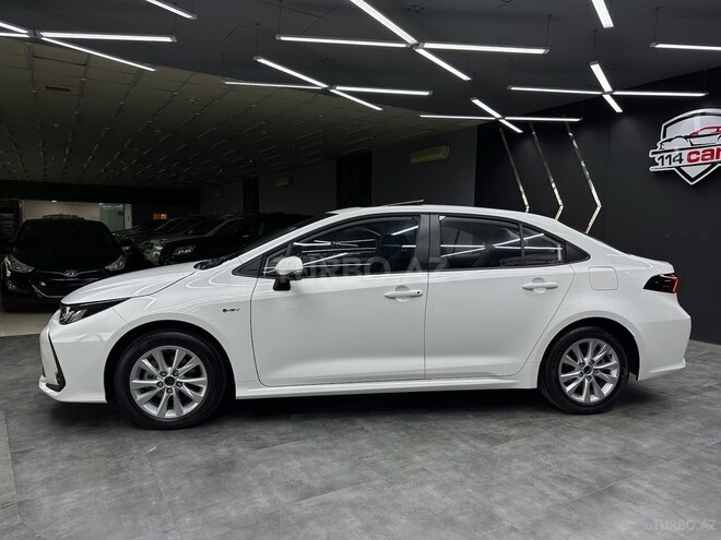 Toyota Corolla-4