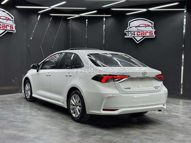 Toyota Corolla-8