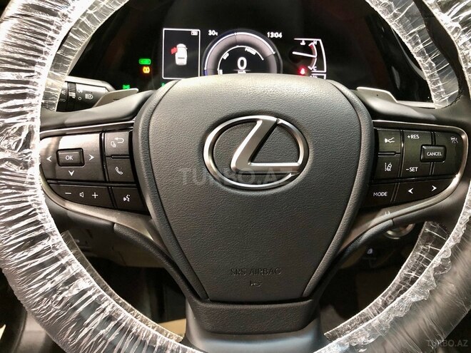 Lexus ES 300h-10