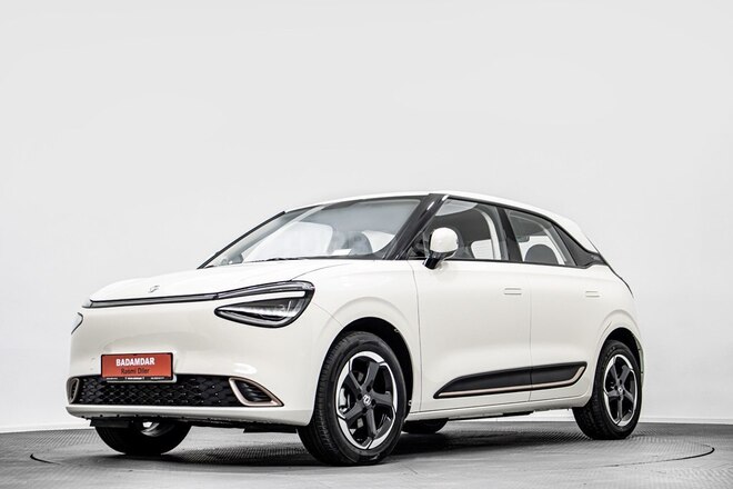DongFeng Nammi Box-1