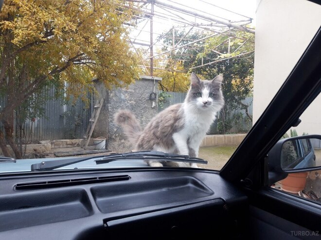 Tofas Sahin 2005, 98,000 km - 1.6 l - Şirvan