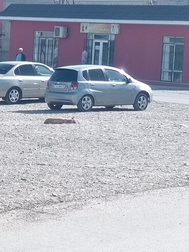 Chevrolet Aveo 2007, 202,660 km - 1.4 л - Xaçmaz