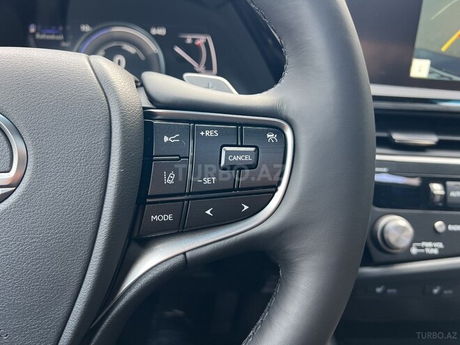 Lexus ES 300h-12