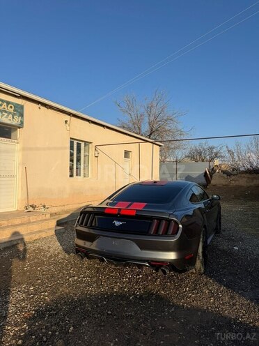 Ford Mustang 2015, 178,000 km - 2.3 l - Naxçıvan