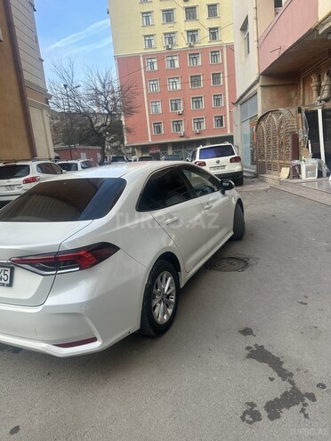 Toyota Corolla-4