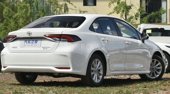 Toyota Corolla-6