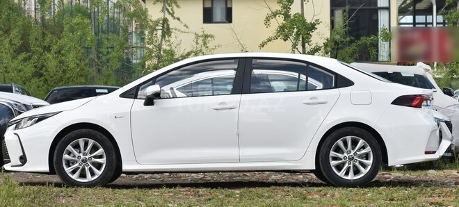 Toyota Corolla-4
