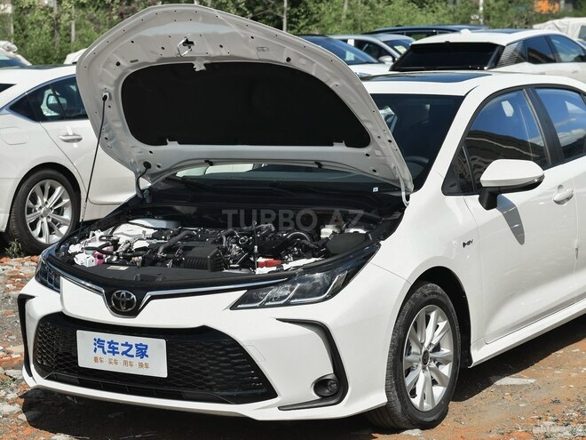 Toyota Corolla-2