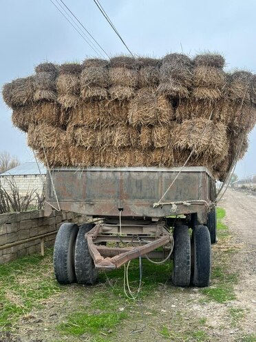 KamAz 53212 1985, 280,000 km - 11.0 l - Salyan