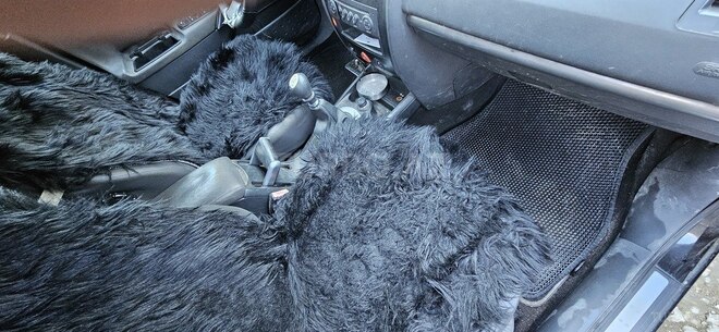 Renault Megane 2007, 363,983 km - 1.5 l - Bakı