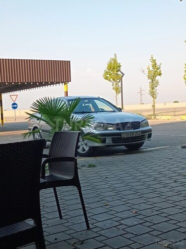 Nissan Sunny 2003, 280,000 km - 1.6 l - Bakı