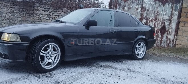 BMW 316-9