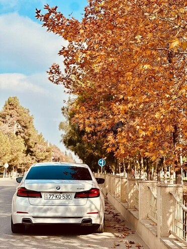 BMW 530-19