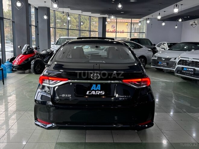 Toyota Corolla-6