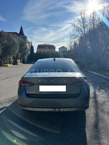 Skoda Octavia 2021, 23,516 km - 1.4 l - Bakı
