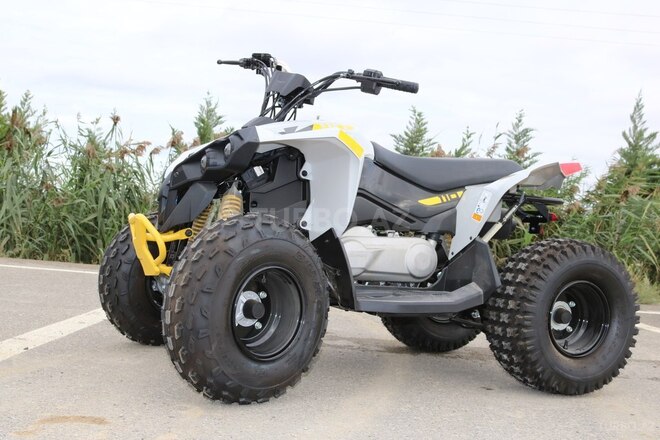 BRP REN 2X4 110-4ST-2