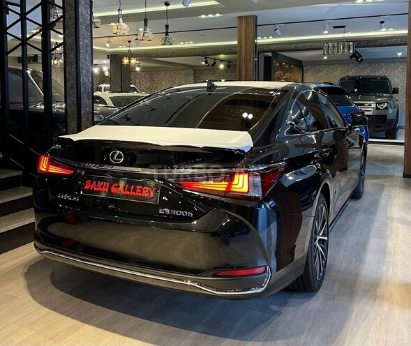 Lexus ES 300h-6