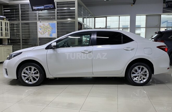Toyota Corolla-6