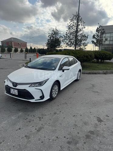 Toyota Corolla 2024, 0 km - 1.8 l - Bakı