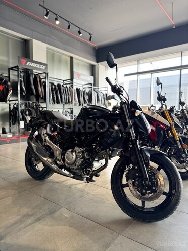 Suzuki SFV 650 Gladius-4