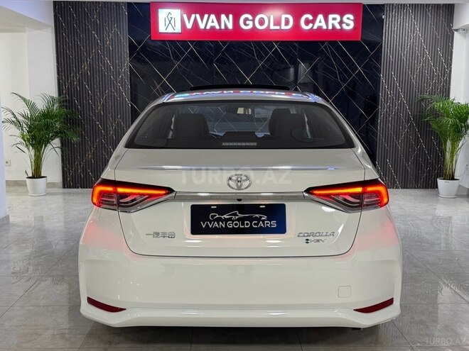 Toyota Corolla-6