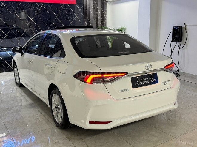 Toyota Corolla-4