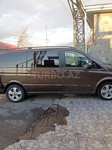 Mercedes Viano-2