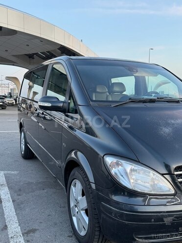 Mercedes Viano-2
