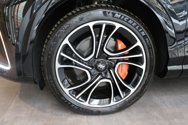 IM LS7-19