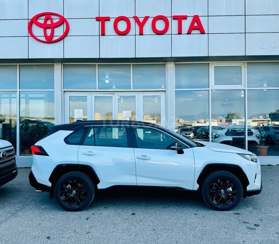 Toyota RAV4-8