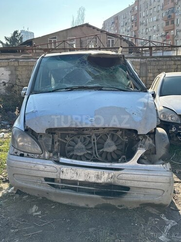 Mercedes Viano-1