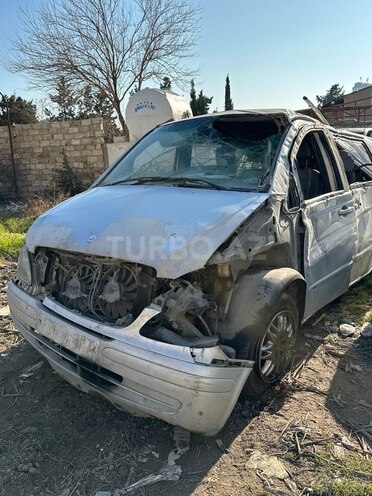 Mercedes Viano-2