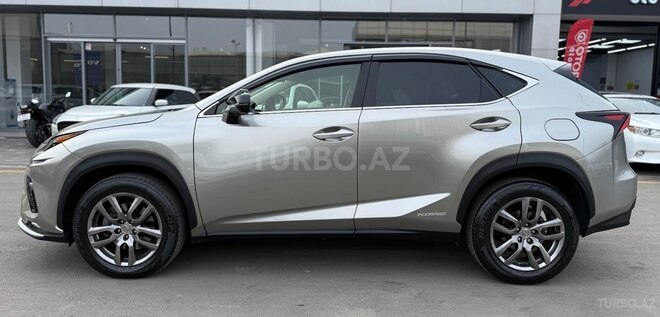 Lexus NX 350h-12