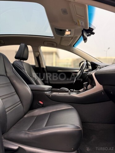 Lexus NX 350h-17