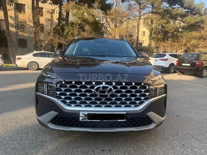 Hyundai Santa Fe-17