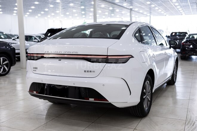 BYD Destroyer 05-9