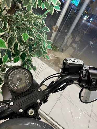 Harley-Davidson XL883N Sportster Iron 883-5