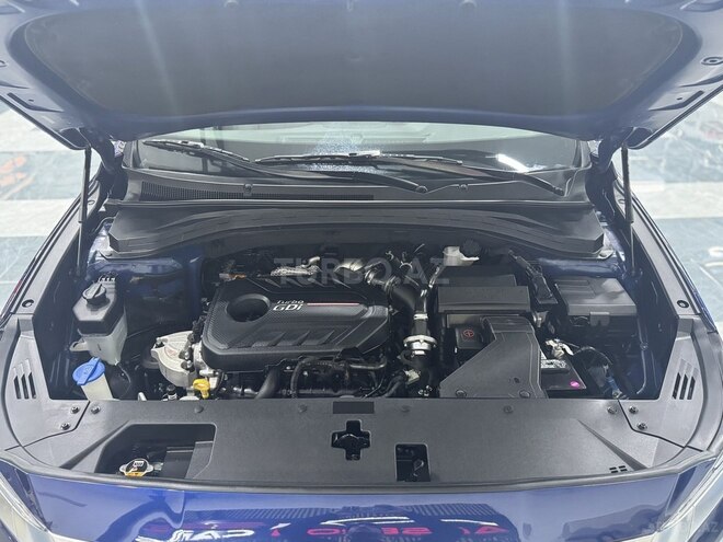 Hyundai Santa Fe-18