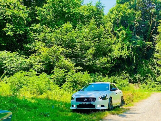 Nissan Maxima 2011, 191,200 km - 3.5 l - Sumqayıt