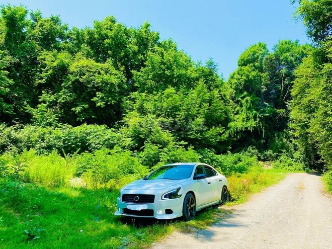 Nissan Maxima 2011, 191,200 km - 3.5 l - Sumqayıt