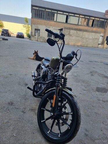 Harley-Davidson XL883N Sportster Iron 883 2016, 19,000 km - 0.9 l - Bakı