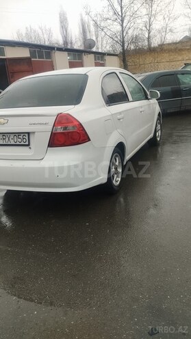 Chevrolet Aveo 2009, 348,170 km - 1.6 л - Gəncə