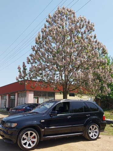 BMW X5 2002, 235,211 km - 4.4 л - Masallı