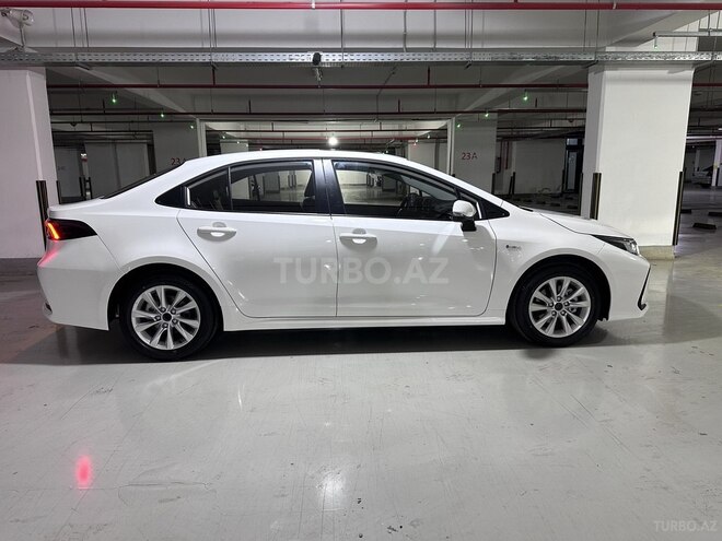 Toyota Corolla-8