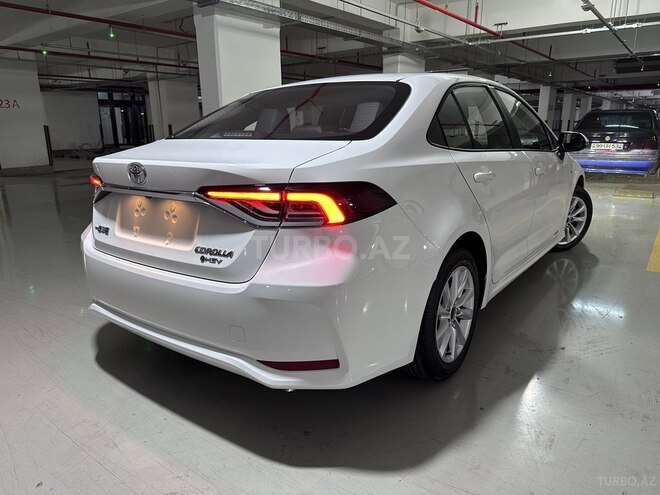Toyota Corolla-6
