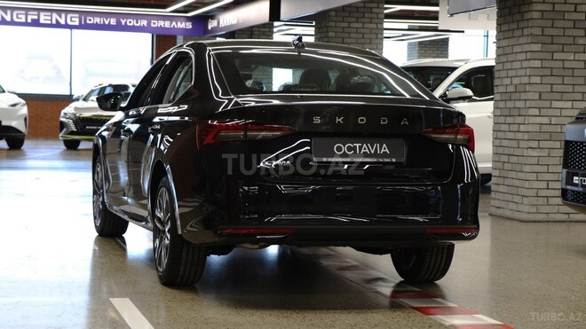 Skoda Octavia 2024, 0 km - 1.5 l - Bakı