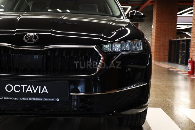 Skoda Octavia 2024, 0 km - 1.5 l - Bakı